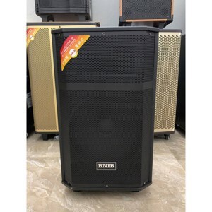 Loa kéo BNIB 1296 bass 30