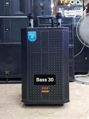 Loa kéo BNIB 1299 bass 30