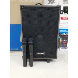 Loa kéo BNIB T10