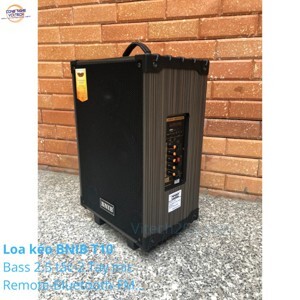 Loa kéo BNIB T10