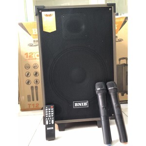 Loa kéo BNIB T12