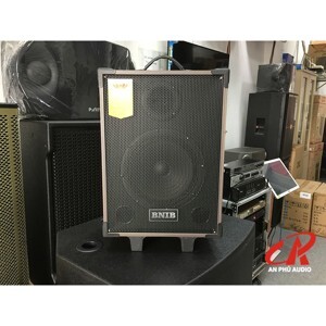 Loa kéo BNIB T8