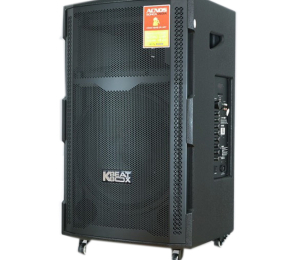 Loa kéo di động Acnos CBZ16GN
