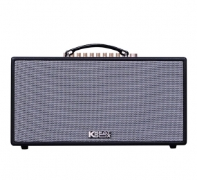 Loa kéo di động Acnos CS688R
