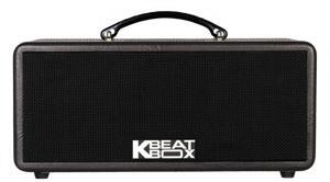 Loa kéo di động Acnos KS361MS