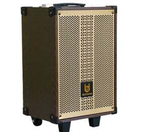 Loa kéo di động BD-9080 (Bass 25cm)