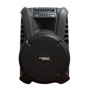 Loa kéo di động Caliana Pro15F (Pro-15F)