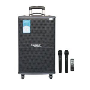 Loa kéo di động Caliana WD-12A