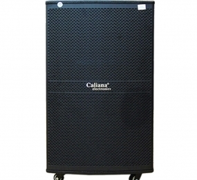 Loa kéo di động Caliana WD-15A 4 tấc
