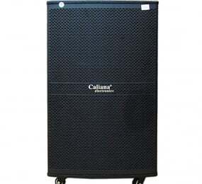Loa kéo di động Caliana WD-15A 4 tấc