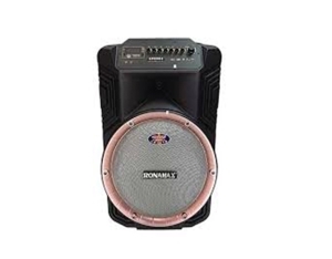 Loa kéo di động karaoke Ronamax B15A