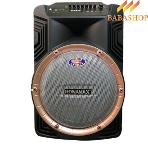 Loa kéo di động karaoke Ronamax B15A