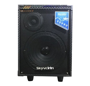 Loa kéo di động karaoke Skyvcirin N-908