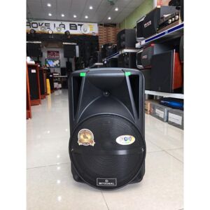 Loa kéo di động Mitsunal T1202 - Bass 30