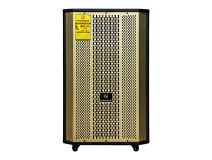 Loa kéo di động Nanomax SK-15X5
