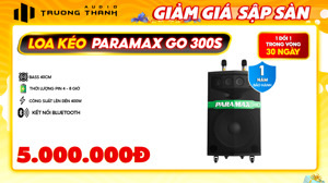 Loa kéo di dộng Paramax Go 300S