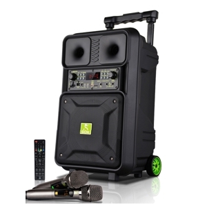 Loa kéo di động SOK NE803