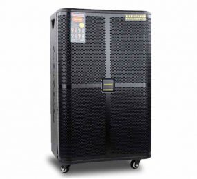 Loa kéo di động Temeisheng GD15-15 5 tấc