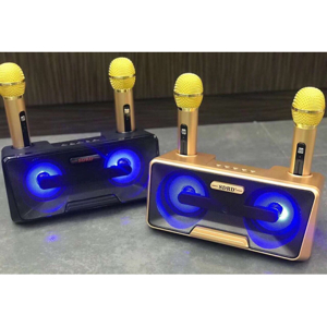 Loa bluetooth Karaoke SD-301