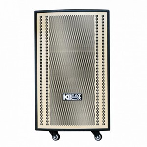 Loa kéo karaoke Acnos CB-3051G