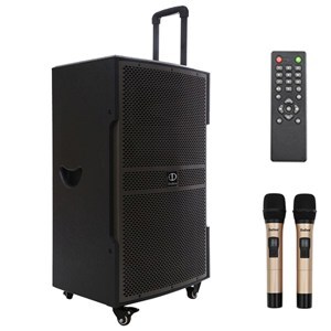 Loa kéo karaoke Dalton TS-15G600N - 600W