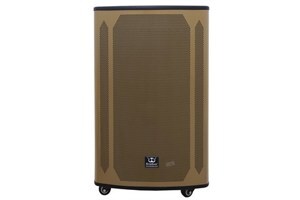 Loa kéo karaoke Rinton PL-5 400W