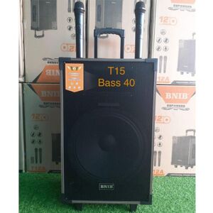 Loa kẹo kéo BNIB T15