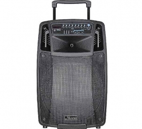 Loa kéo Microtek MTK-08 - 550W