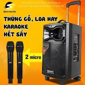 Loa kéo Temeisheng QX-0831