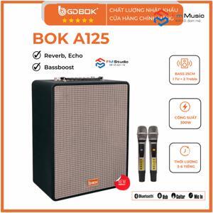 Loa kéo xách tay BOK A125