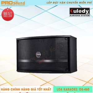 Loa Kuledy OK470