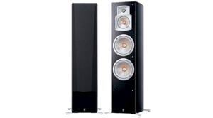 Loa main Yamaha NS-555