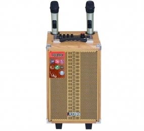 Loa máy tính NTC S-202