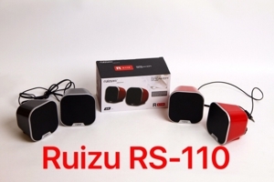 Loa Ruizu RS110