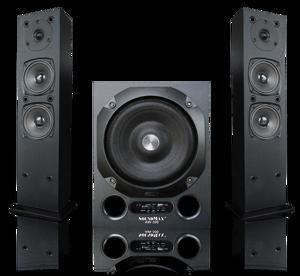 Loa máy tính Soundmax AW 300