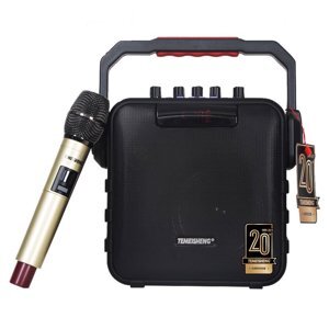 Loa mini Temeisheng SL-0526