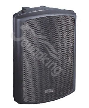 Loa Monitor Soundking KB15A