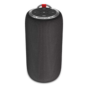 Loa Monster S310