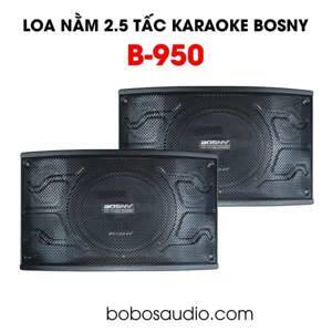 Loa nằm Karaoke Bosny B-950