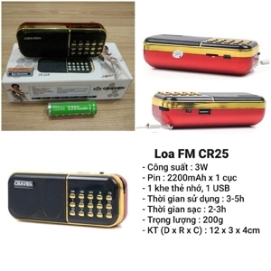 Loa nghe nhạc Craven CR-25