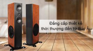 Loa nghe nhạc Paramax Platinum D-88 (Calvados)