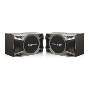 Loa Paramax D-2000