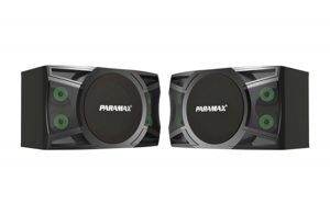 Loa Paramax MK-S1000