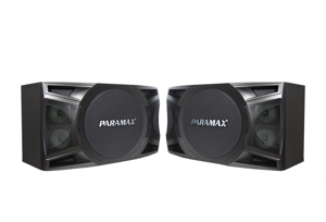 Loa Paramax MK-S1000