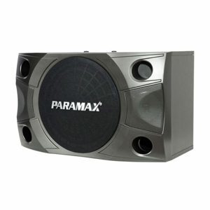 Loa Paramax P-850