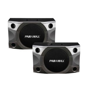 Loa Paramax P-900