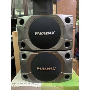 Loa Paramax P-900