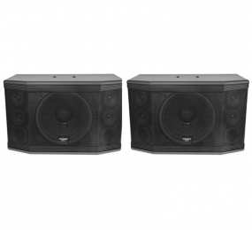 Loa Paramax Pro C10