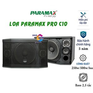 Loa Paramax Pro C10