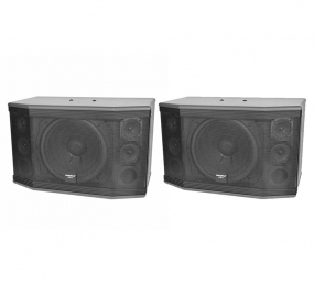 Loa Paramax Pro-C12